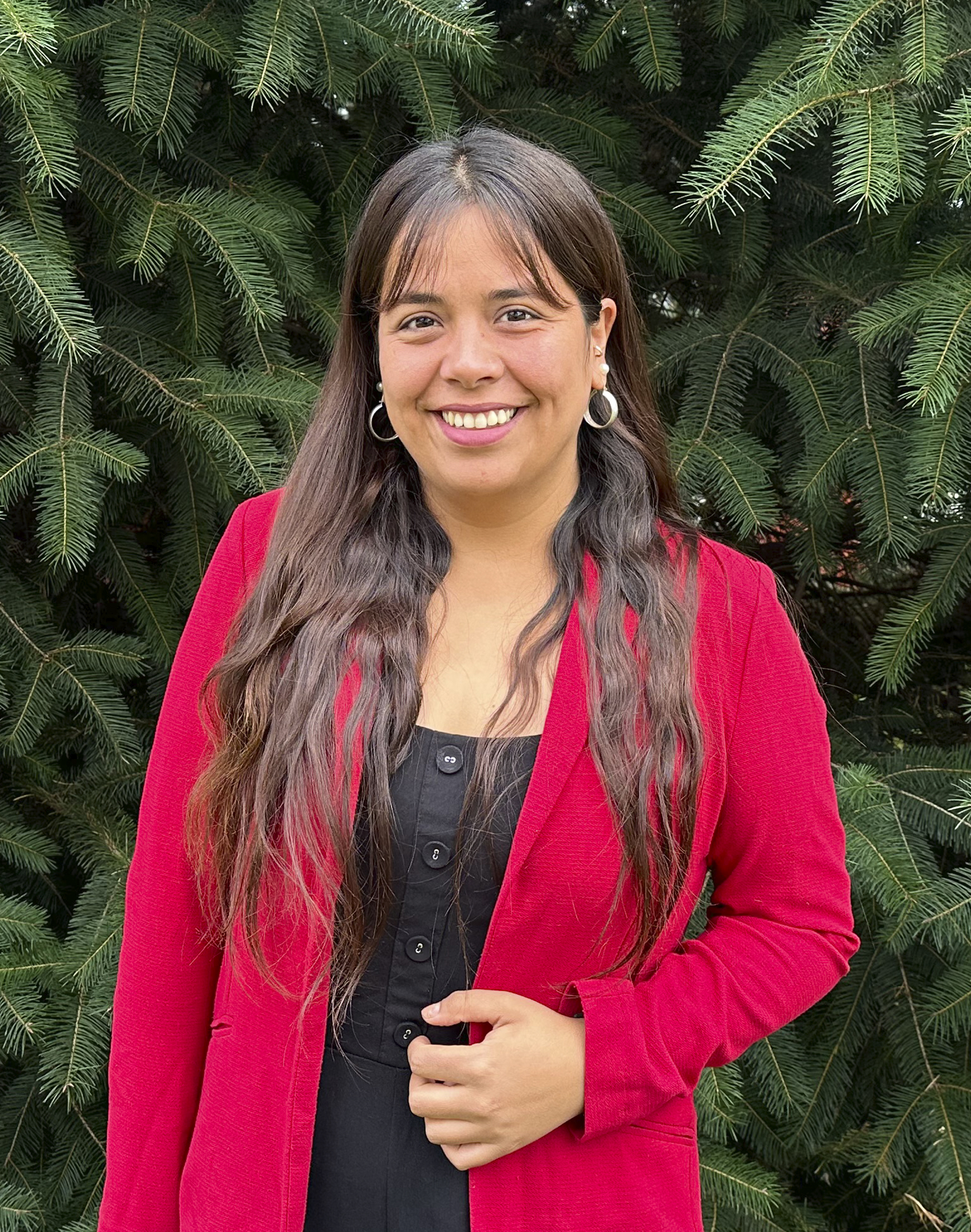 Constanza Andrea Viveros Villagrán